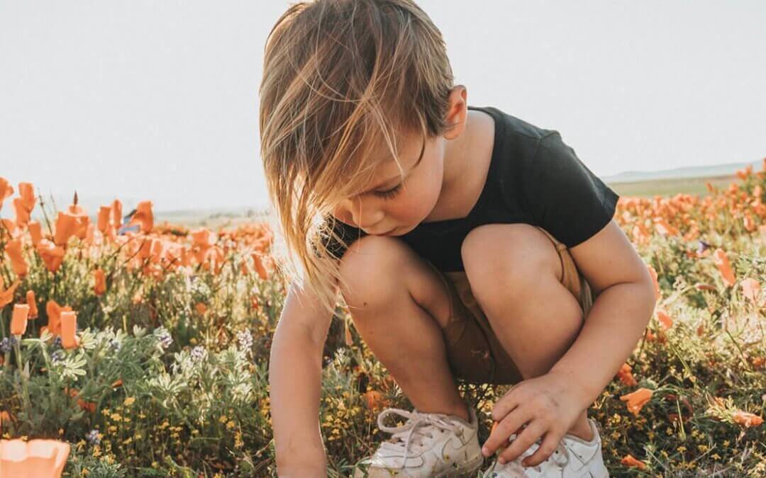 Les vertus éducatives du jardinage avec les enfants