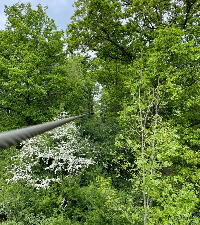 Préférence Plein Air-9_FDLS